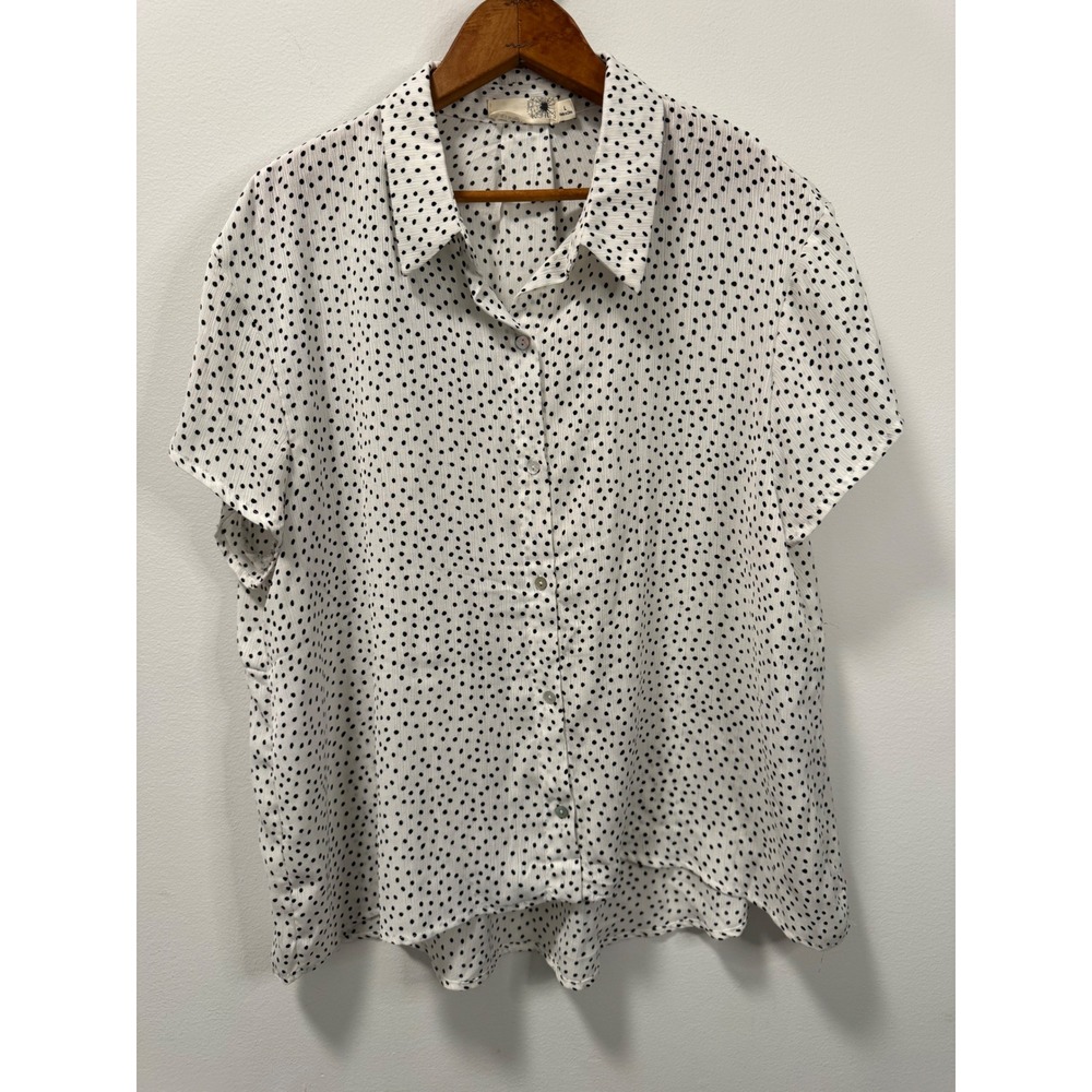 Everleigh Classic Tiny Polka Dot Short Sleeve Button Up Blouse White Black Large
